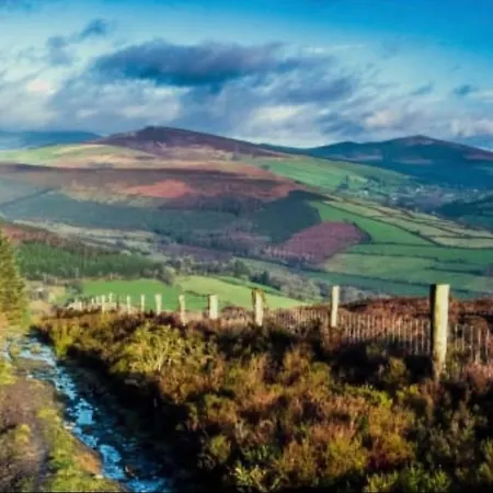 2 Bed Cottage, In The Wicklow Mountains Πανσιόν